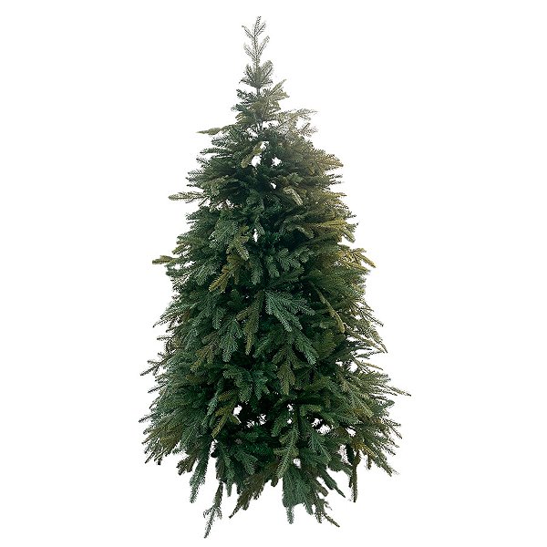Árvore de Natal Modelo Alecrim - 1820 galhos - 2,10m - Ref. RZO394 - 1 unidade - Rizzo