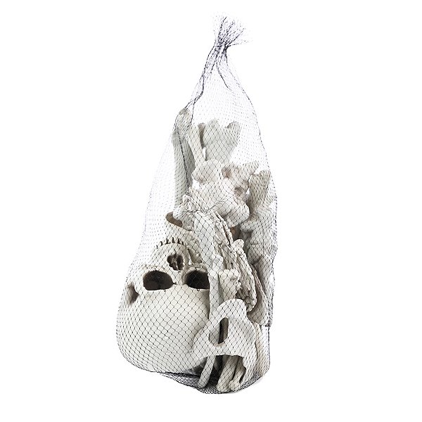 Kit Partes de Esqueleto de Halloween - 1 unidade - Cromus - Rizzo