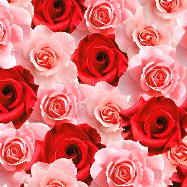 Saco para Presente Decorado - Belle - Cromus - Rizzo