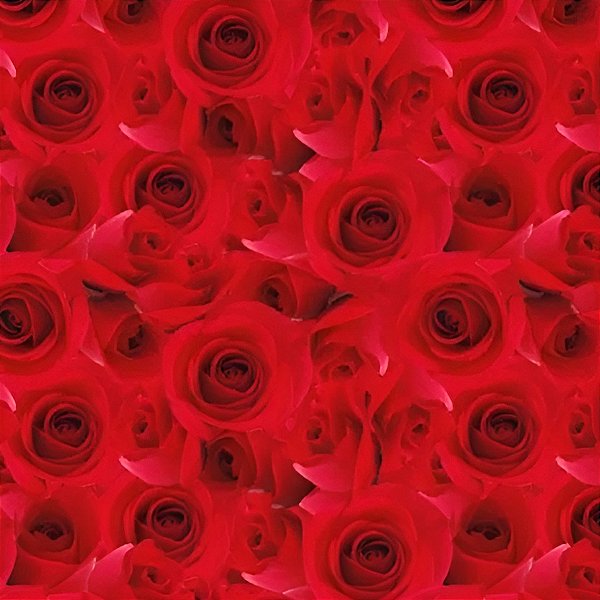 Saco para Presente Decorado - Beauty - Cromus - Rizzo