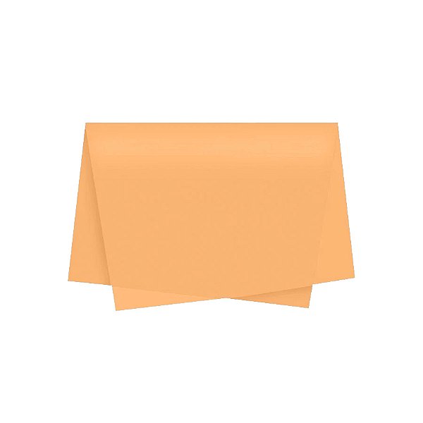 Papel de Seda - 50x70 - Bege Escuro - 10 unidades - Rizzo
