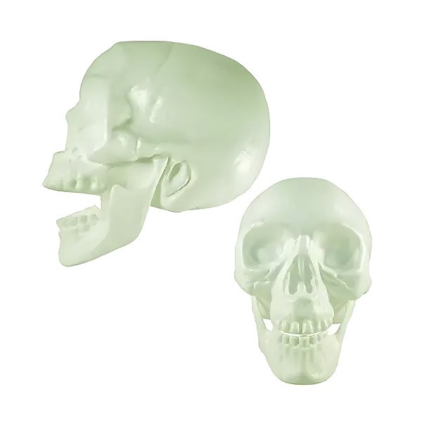 Crânio com Mandibula Fléxivel - Neon - 1 unidade - BrasilFlex - Rizzo