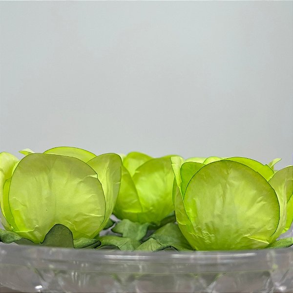 Forminha para Doces Finos - Rainha Verde Oliva Claro - 30 unidades - Decora Doces - Rizzo