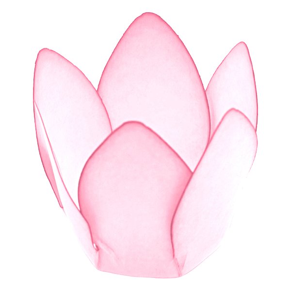 Forminha Para Doces Finos - Monaco - Rosa Bebê - 50 unidades - Decora Doces - Rizzo