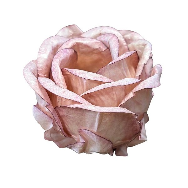 Forminha para Doces Finos - Magnolia Doce de Leite - 30 unidades - Decora Doces - Rizzo