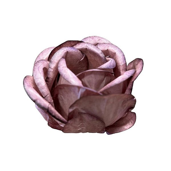 Forminha para Doces Finos - Magnolia Avelã - 30 unidades - Decora Doces - Rizzo