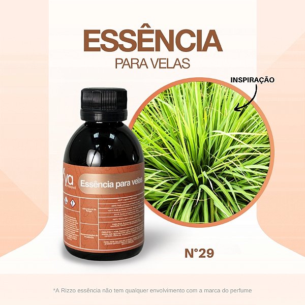 Essência Capim Limão Concentrada Para Velas N°29 - 100g - 1 unidade - Vya - Rizzo