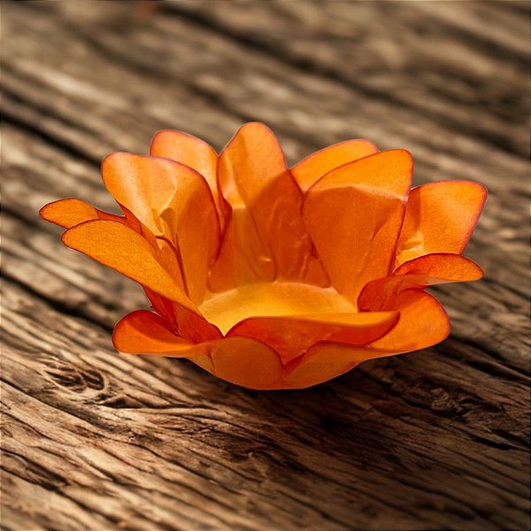 Forminha Para Doces Finos - Lírio Laranja - 40 unidades - Decora Doces - Rizzo