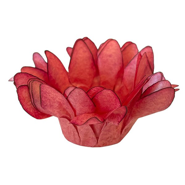 Forminha para Doces Finos - Madri Coral - 50 unidades - Decora Doces - Rizzo