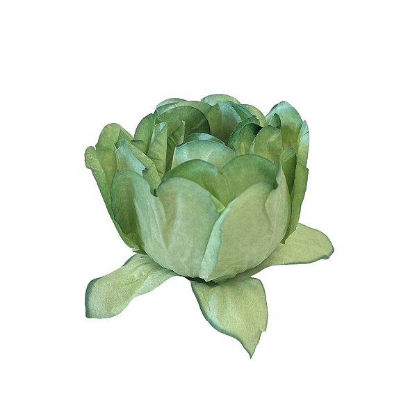Forminha para Doces Finos - Bela Pistache Claríssimo - 30 unidades - Decora Doces - Rizzo