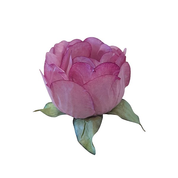 Forminha para Doces Finos - Bela Rosa Seco 1 - 30 unidades - Decora Doces - Rizzo