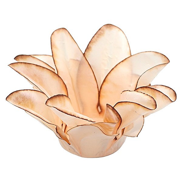 Forminha Para Doces Finos - Estrela do Mar Creme Queimado - 20 unidades - Decora Doces - Rizzo