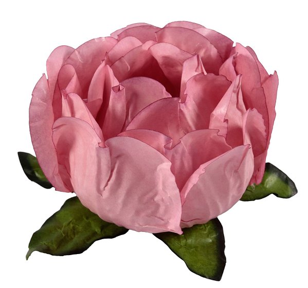 Forminha para Doces Finos - Bela Rosa Seco 1  40 unidades - Decora Doces - Rizzo Festas