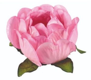 Forminha para Doces Finos - Bela Perola  40 unidades - Decora Doces - Rizzo Festas