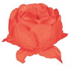 Forminha para Doces Finos - Bela Neon Laranja - 20 unidades - Decora Doces - Rizzo Festas