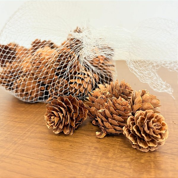 Saquinho com Mini Pinhas - 100g - Rizzo