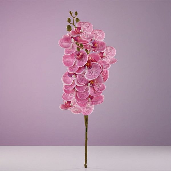 Haste Flor Permanente - Orquídea Phalaenopsis - Pink - 75cm  - 1 unidade - Cromus - Rizzo