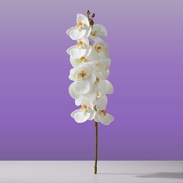 Haste Flor Permanente - Orquídea Phalaenopsis - Branco - 75cm  - 1 unidade - Cromus - Rizzo