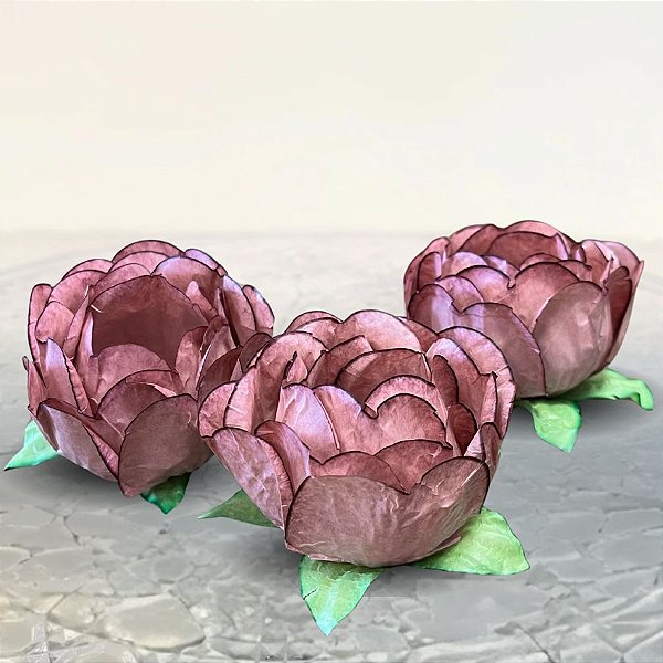 Forminha para Doces Finos - Bela Avelã  - 30 unidades - Decora Doces - Rizzo