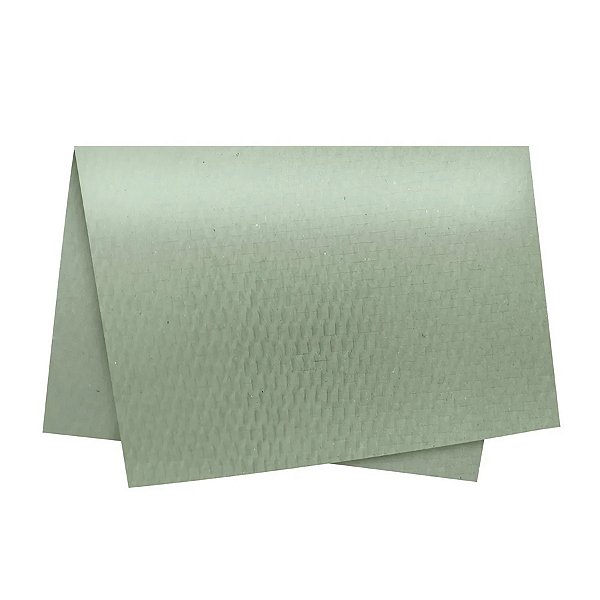Papel Colméia - 50x50cm - Salvia - 10 unidades - Cromus - Rizzo