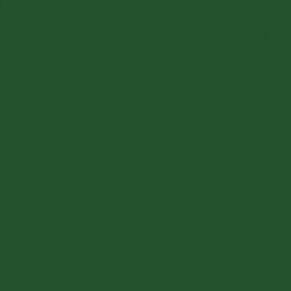 Saco Presente Metalizado Verde Escuro 20x29cm - 50 unidades - Cromus - Rizzo Embalagens