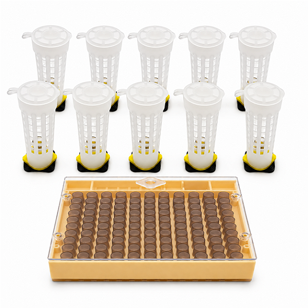 Kit Nicot para Criação de Abelha Rainha – Sistema Completo Cupkit