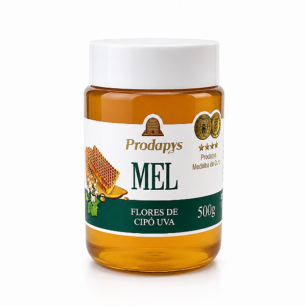 Mel de Flores de Cipó Uva - 500g