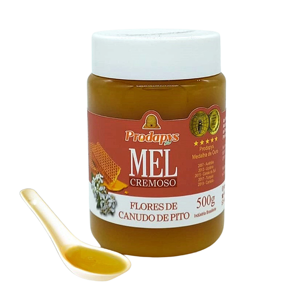 Mel de Flores de Canudo de Pito Cremoso - 500g