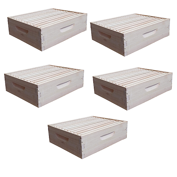 05 Melgueiras de Madeira Encaixadas com 10 Quadros Langstroth