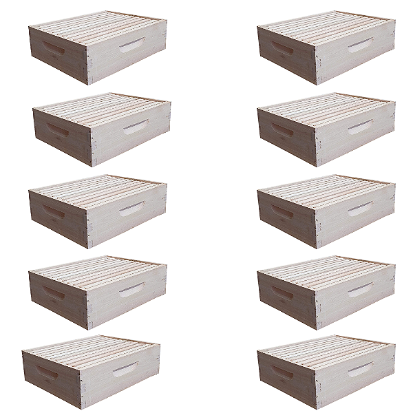 10 Melgueiras de Madeira Encaixadas com 10 Quadros Langstroth