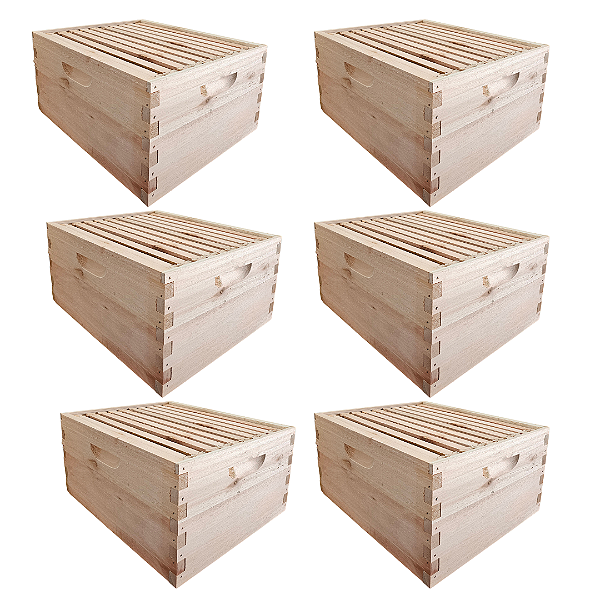 06 Ninhos ou Sobreninhos de Madeira com 10 Quadros Aramados Padrão Langstroth