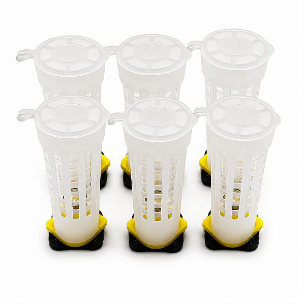 05 Gaiolas Boby para Introdução da Abelha Rainha – Com Base e Cúpula