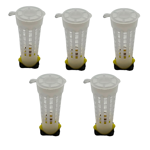 05 Gaiolas Boby para Introdução da Abelha Rainha – Com Base e Cúpula