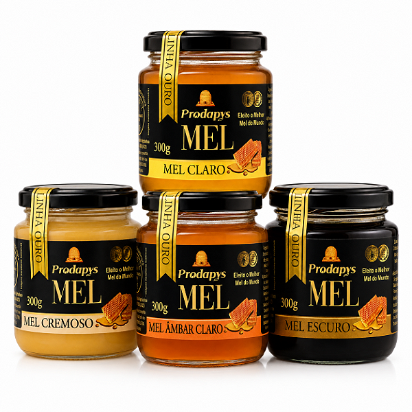 Kit 4 Méis Medalha de Ouro na Caixa de Madeira – 300g Cada