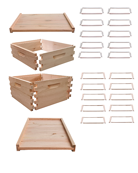 Colmeia Desmontada com Ninho e Melgueira – Padrão Langstroth em Eucalipto