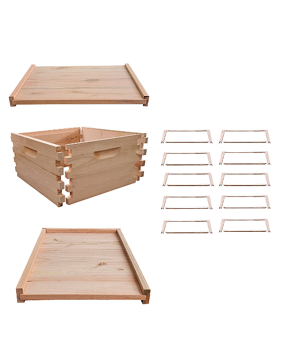 Ninho Desmontado com Fundo, Quadros e Tampa – Padrão Langstroth em Eucalipto