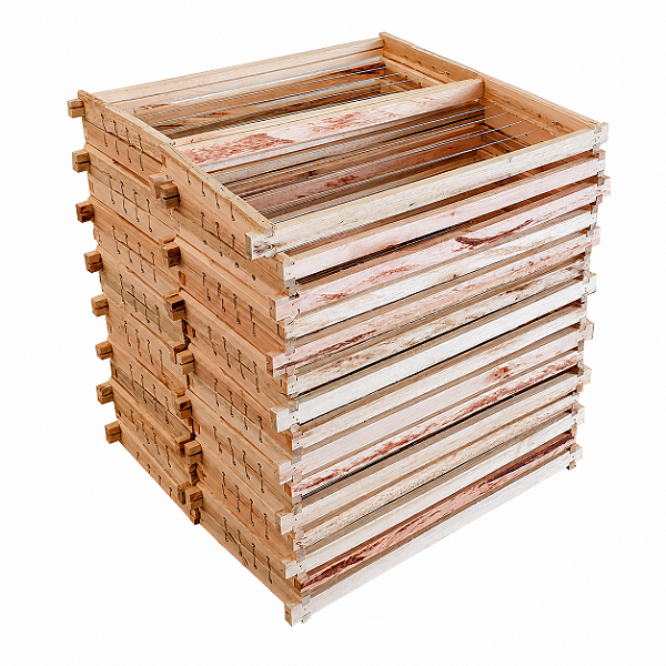 30 Quadros de Ninho Montado e Aramado – Padrão Langstroth