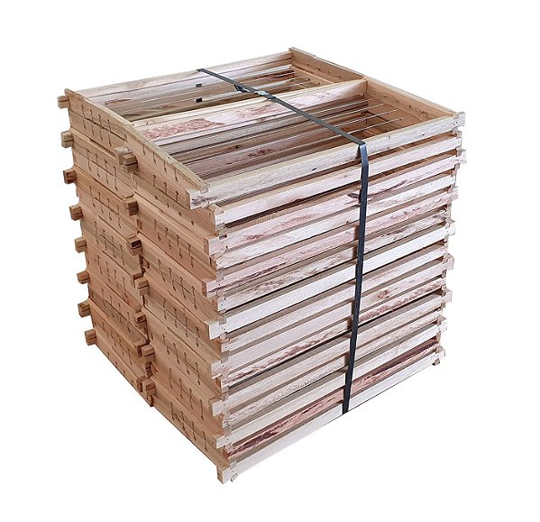 30 Quadros de Ninho Montado e Aramado – Padrão Langstroth