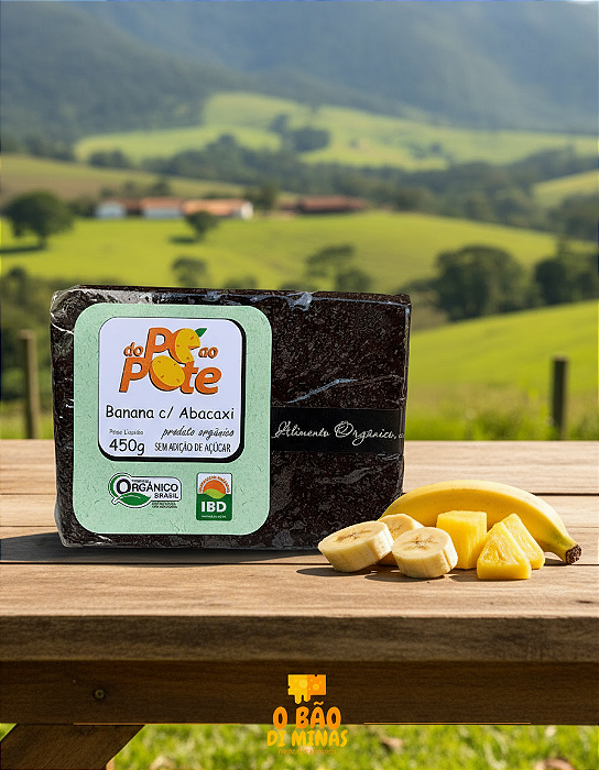 Bananada com Abacaxi Orgânica - 450g - Do pé ao Pote