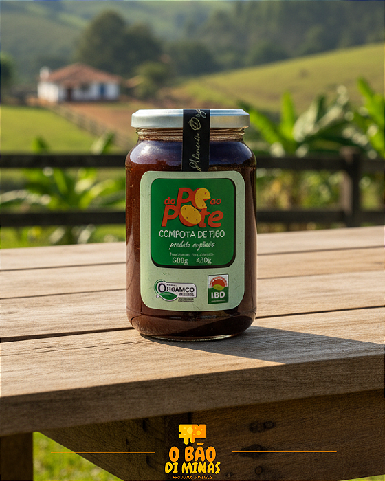 Figo em calda Orgânico - Do pé ao Pote - 600g