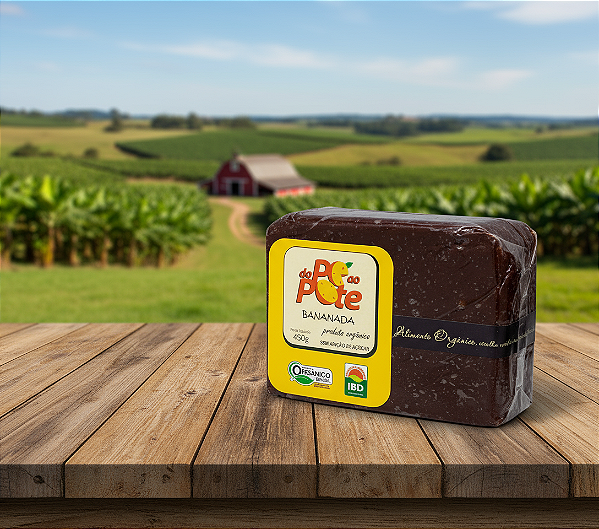 Bananada Orgânica - Do pé ao Pote - 450g