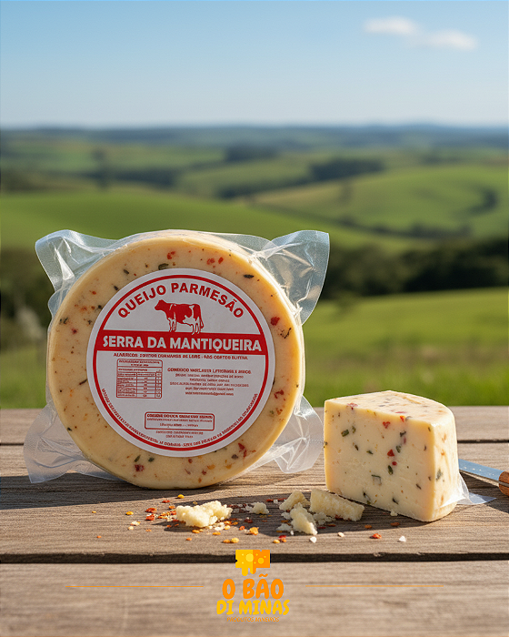 Parmesão Temperado - 580g