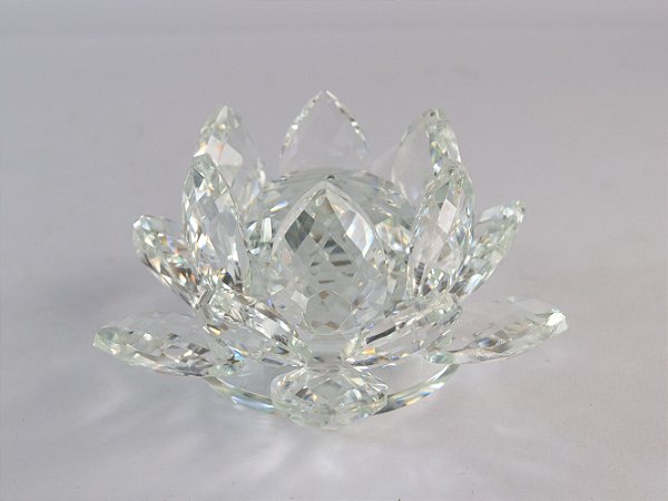Flor de Lotus Cris. LH 40TS2 (11cm)