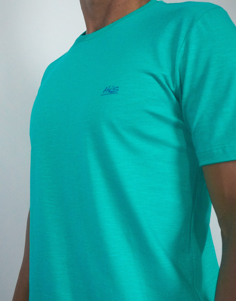 CAMISA CARECA ESTAMPA COQUEIROS - Loja His