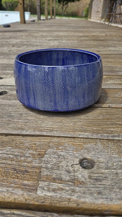 Vaso Ikebana / suculenta