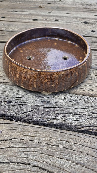 VASO BONSAI ALBANY BROWM