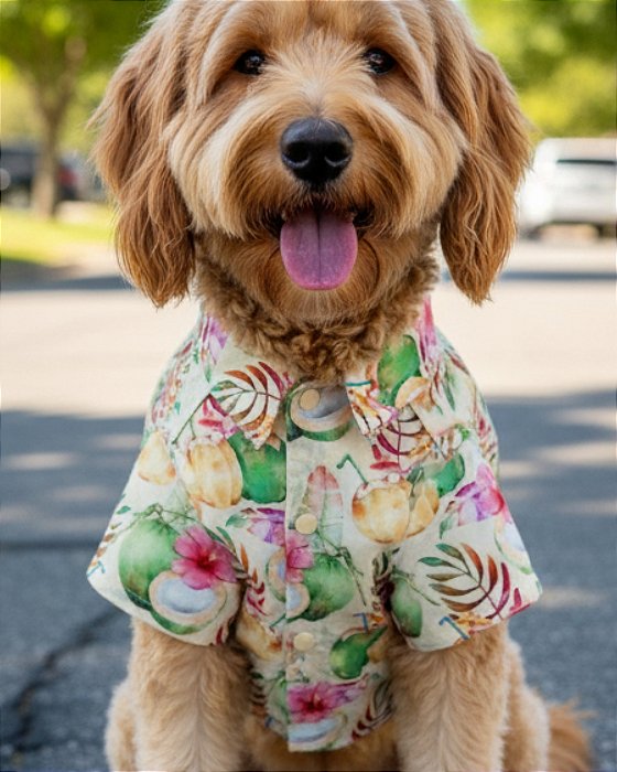 Camisa para Cachorro 100% Algodão - COLEÇÃO COCONUT