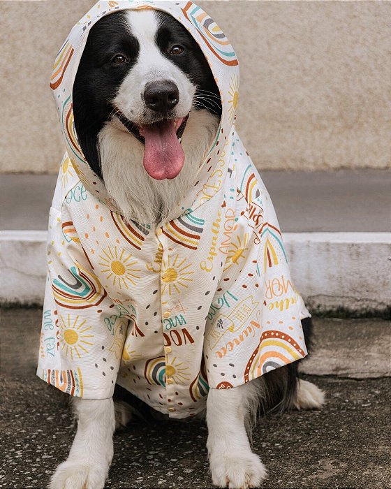 FRASES ARCO ÍRIS - Capa de Chuva para Cachorro