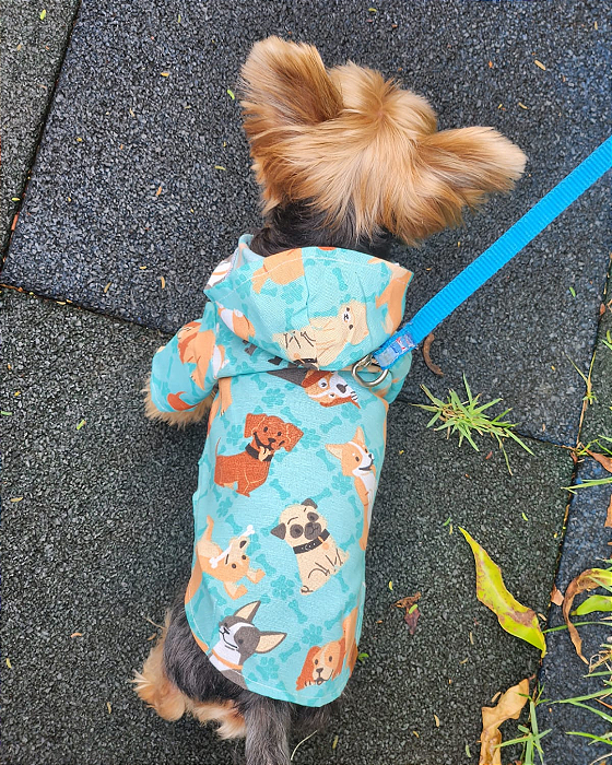 Capa de Chuva para Cachorro - CACHORRINHOS AZUL
