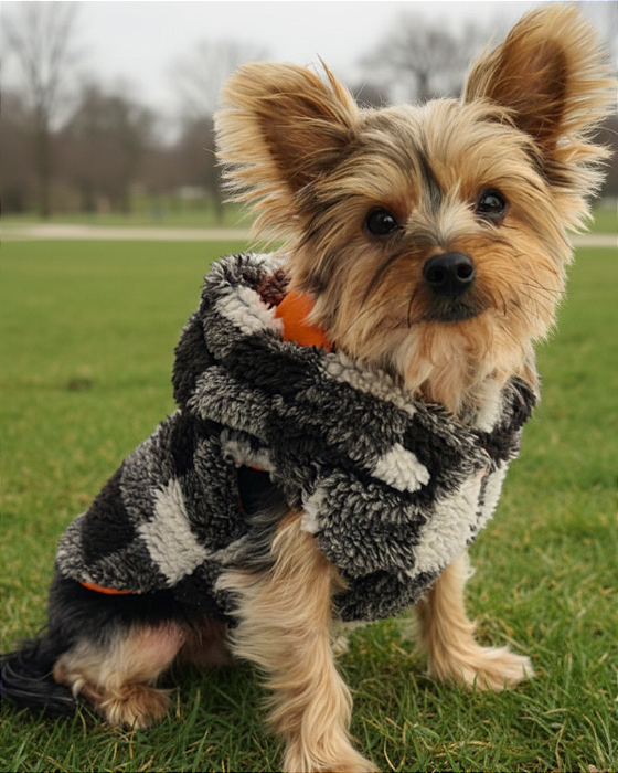 COLETE CANEIRINHO XADREZ MARROM - Roupa de Frio para Cachorro